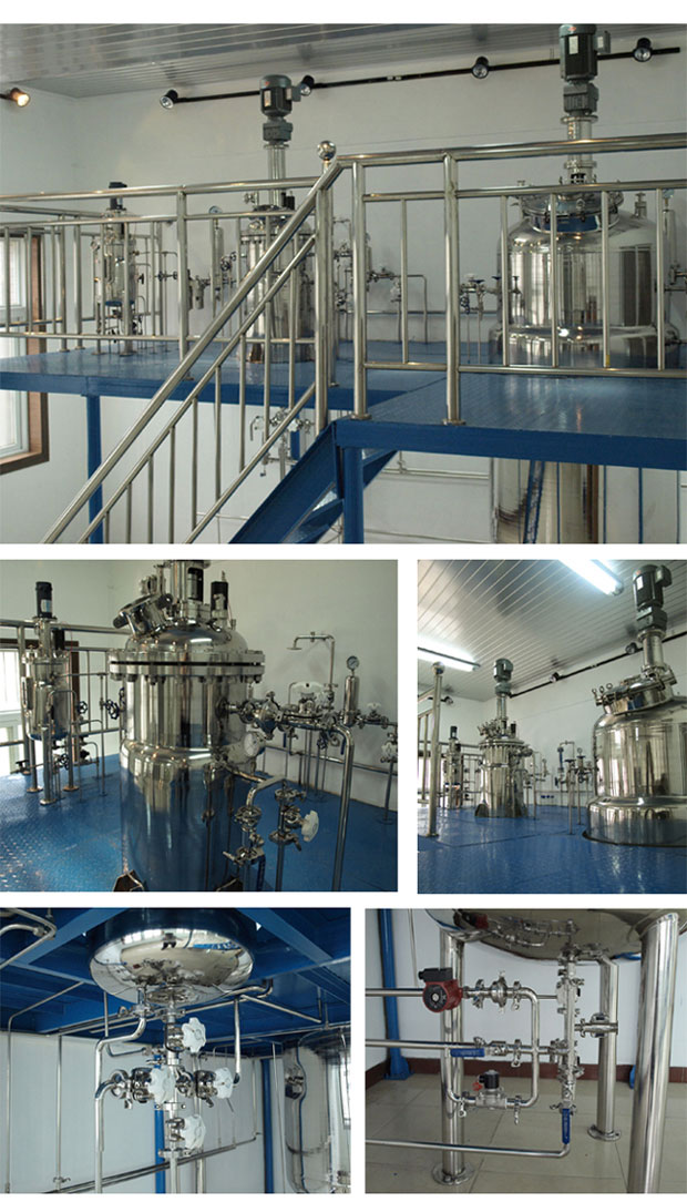 LG-PJ系列 全自動多聯(lián)不銹鋼發(fā)酵罐&mdash;中試車間