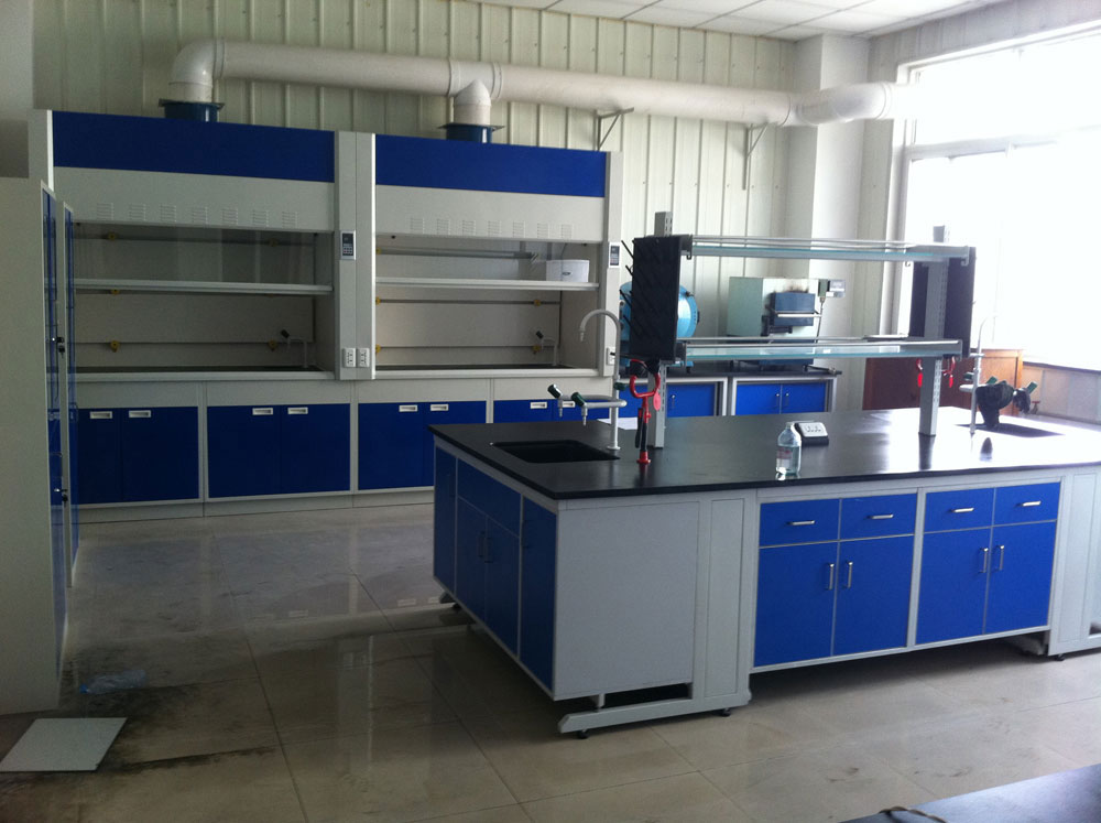 實(shí)驗(yàn)室通風(fēng)柜（標(biāo)準(zhǔn)型、補(bǔ)風(fēng)型、聯(lián)體型、桌上型、落地式、不銹鋼通風(fēng)柜）